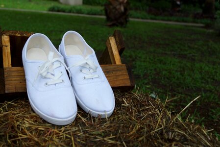 Tennis sneakers venus