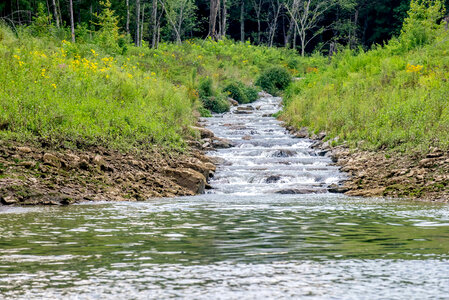 Hatchery Creek pouring into Cumberland River Tailwater