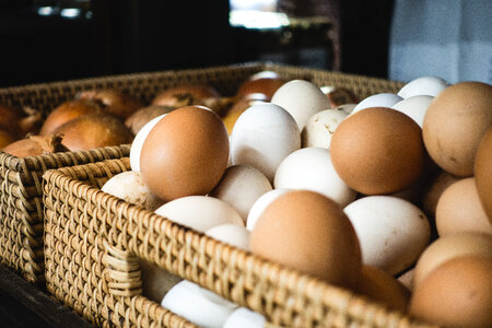 Fresh eggs in a grocery store photo