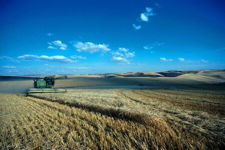 Barley crop hill photo