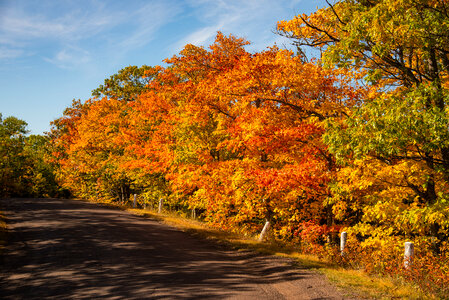 Leaves color on Brock Mountain Drive at Copper Harbor