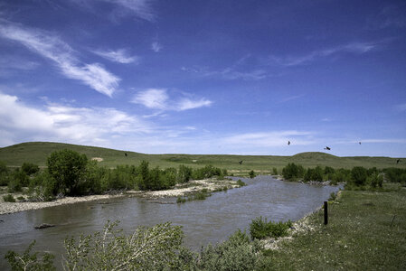 Birds flying over the river in Montana photo