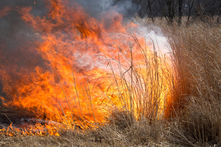 Prescribed burn at NCTC -1
