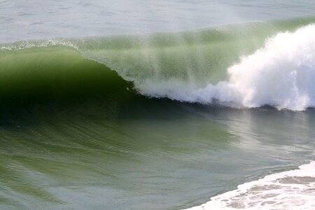 Beach huntington pacific photo