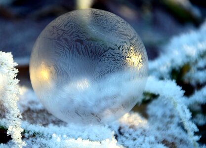 Beautiful Photo frost ice