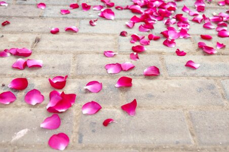 Strewn wedding cement