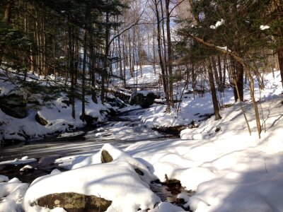 New york creek