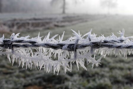 Barbed Wire beautiful photo climate