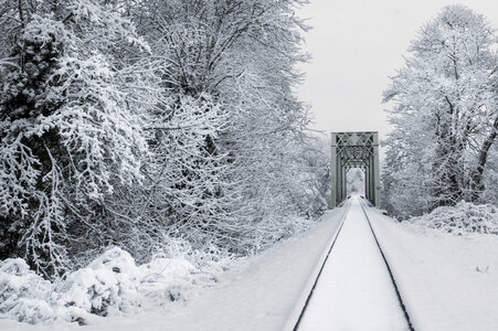 Snowy Train Tracks photo