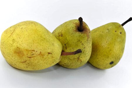 Agriculture organic pears photo