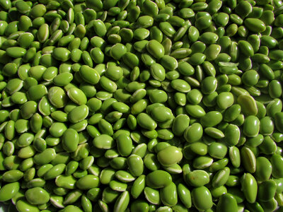 Peeled Green Beans photo