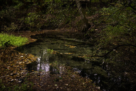 Spring landscape with water