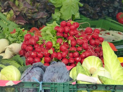 Tomatoes farmers radishes
