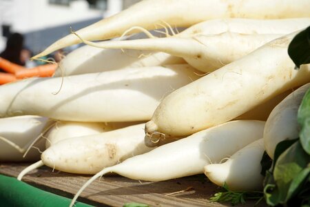 Vegetables radix root
