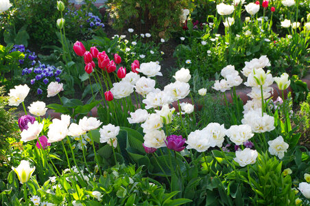 34 Flower