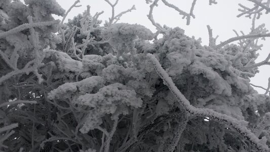 Deogyusan mountains is covered by snow in winter,South Korea photo