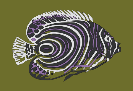 Pomacanthus Imperator