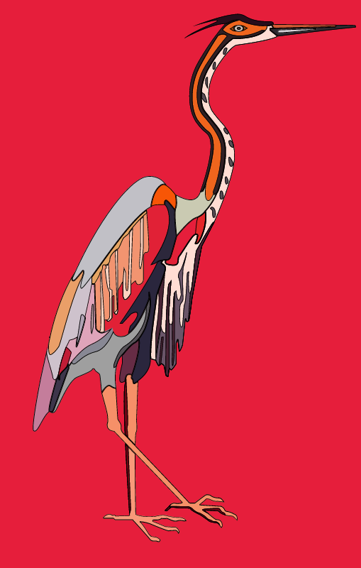 Ardea purpurea 
