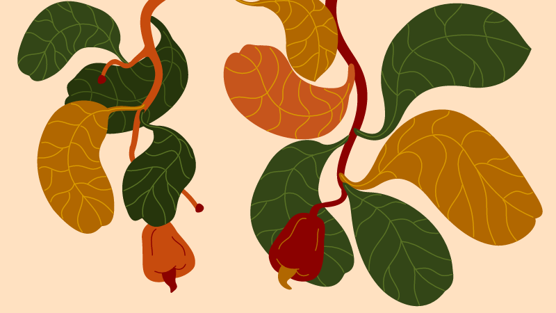 plant decorative elements