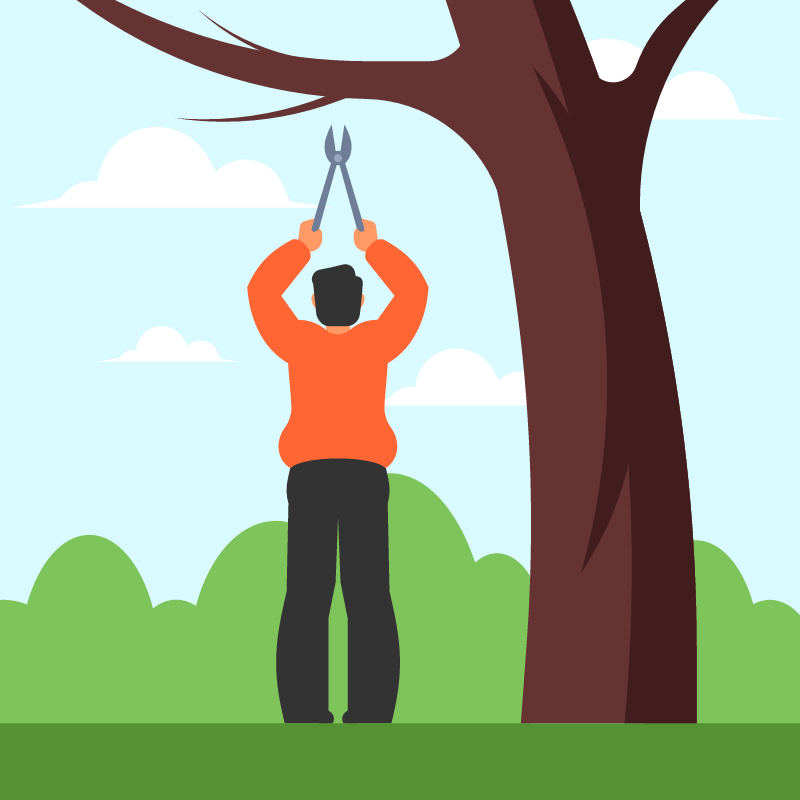 Gardener Cutting Branches with Shears