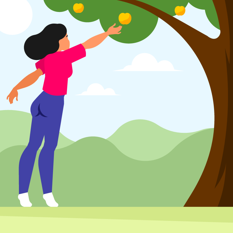 Girl Picking Apples in Orchard