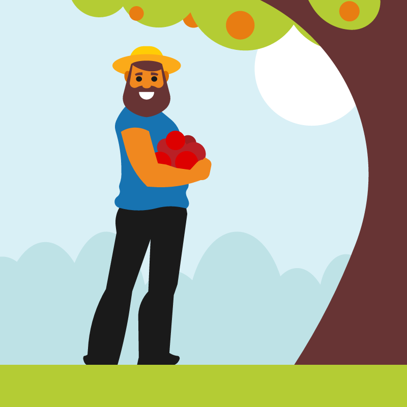 Farmer Harvesting Apples with a Smile