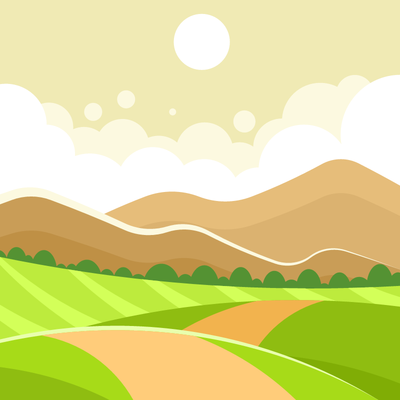 Scenic Country Roads Surrounded by Nature