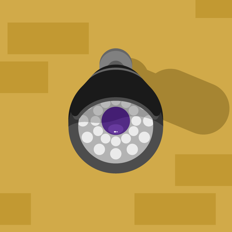 Wall-Mounted Surveillance System