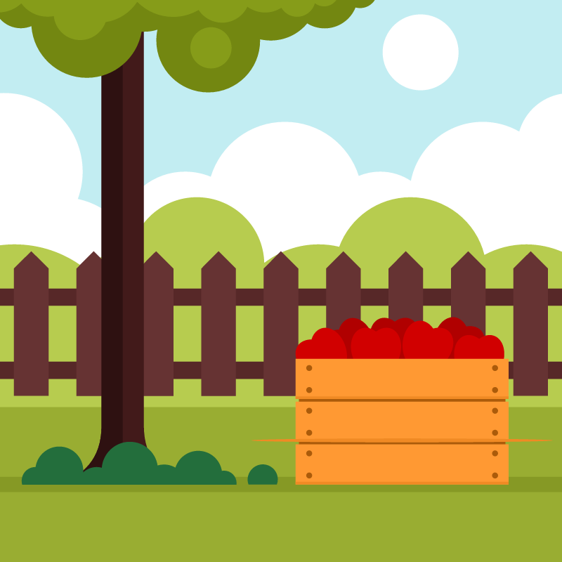 Wooden Box Filled with Apples from Tree