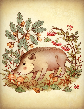 Boar in forest