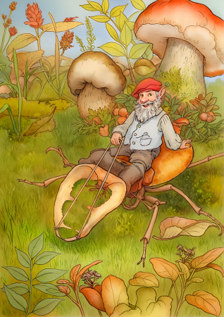 Gnome Riding Beetle On Mushrooms