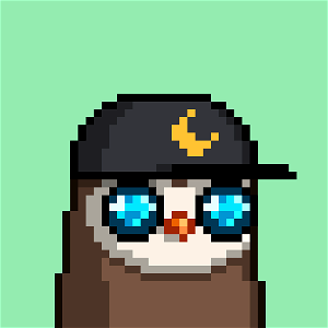 Moonbird 9551