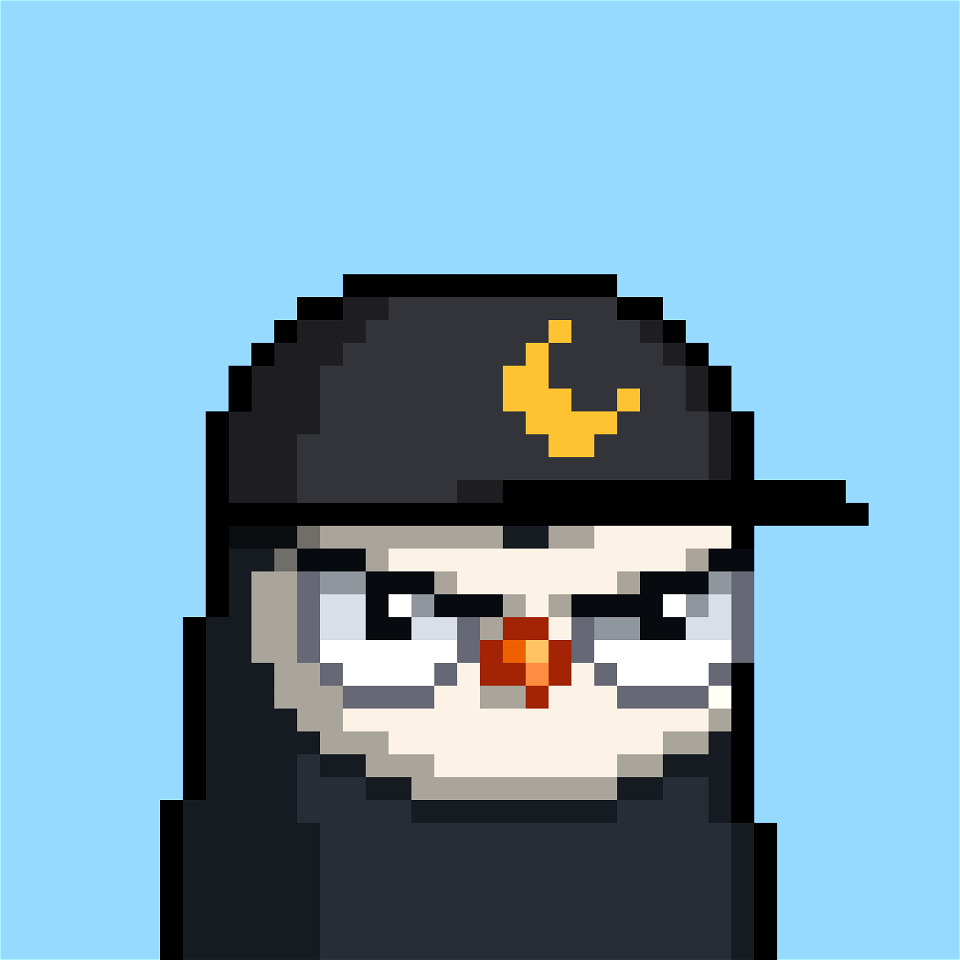 Moonbird 9887