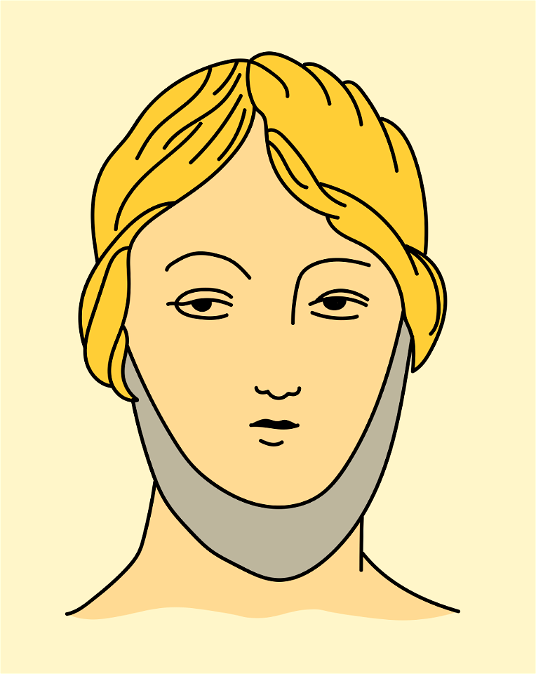 Roman headdress shewing the Focalia. A kind of band which the Roman ladies wore round the neck for the sake of warmth