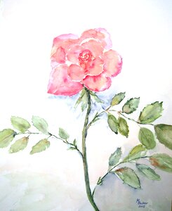 Bloom painting image