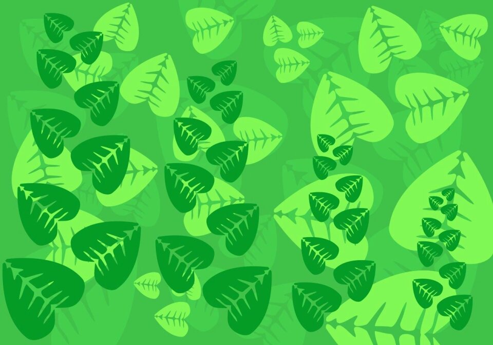 Green spring nature