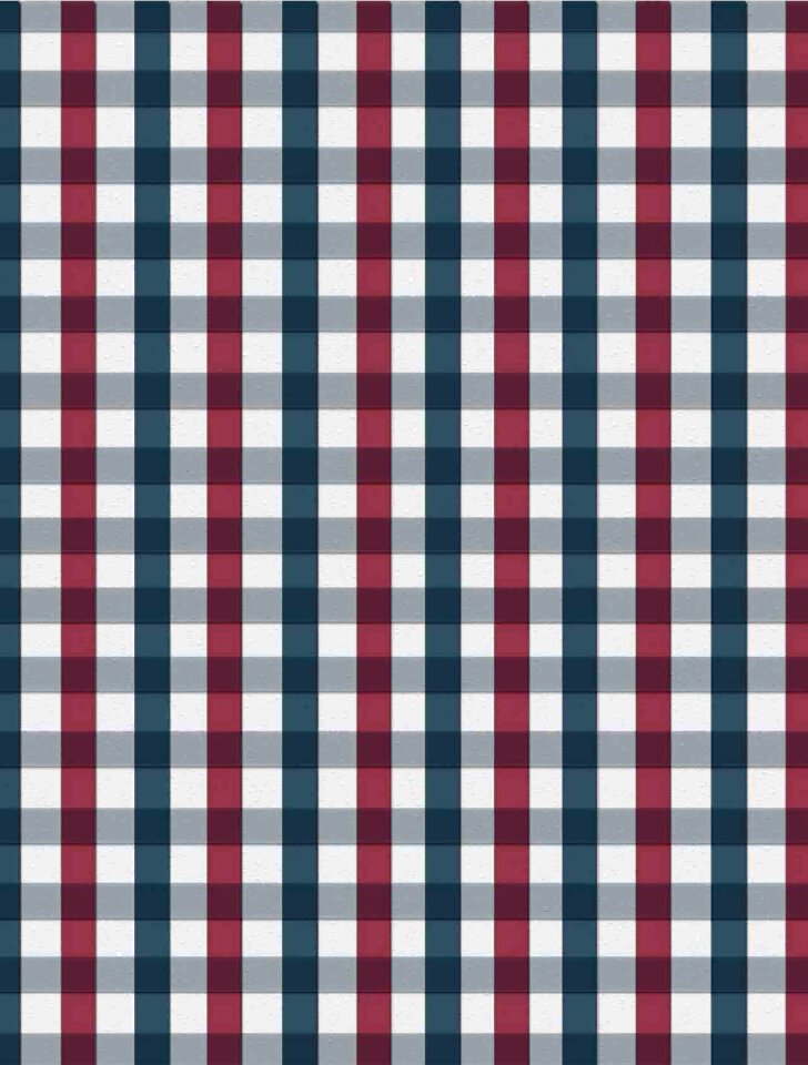 White blue plaid