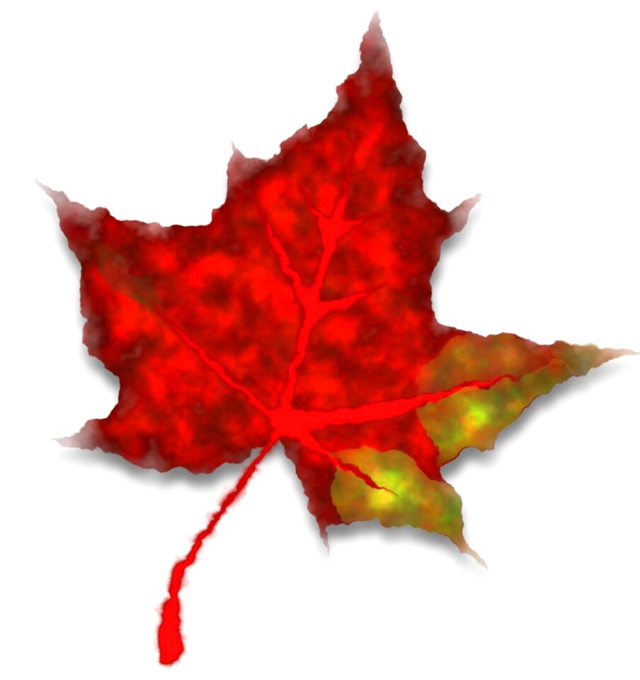 Autumn fall leaves coloring