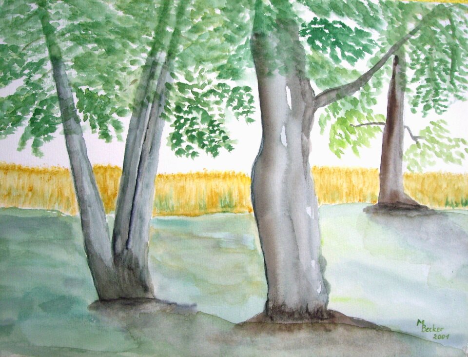 Image art paint