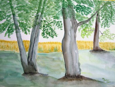 Image art paint