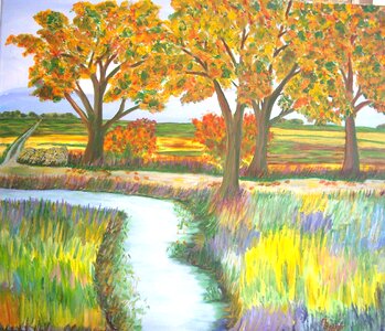 Forest landscape nature