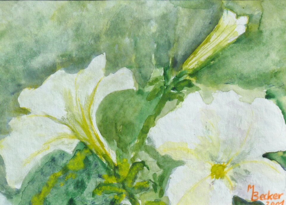 Image art paint