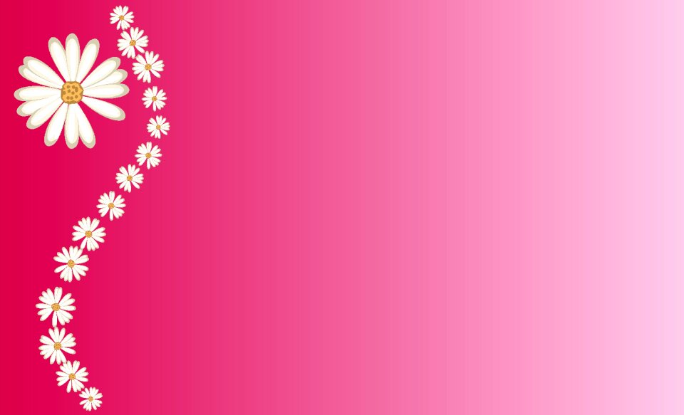 Bloom blossom clear