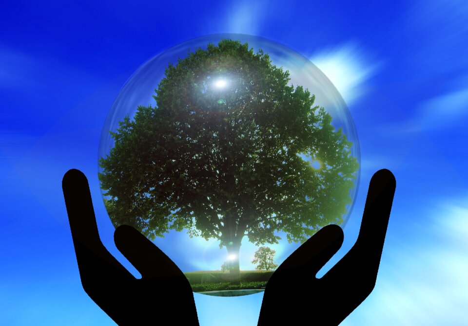 Tree globe earth