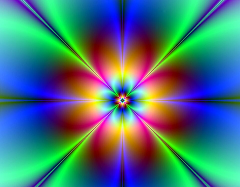 Flower nature graphic