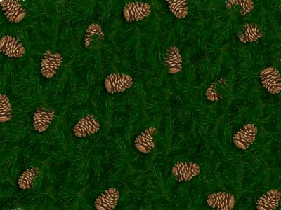 Cone grass decoration