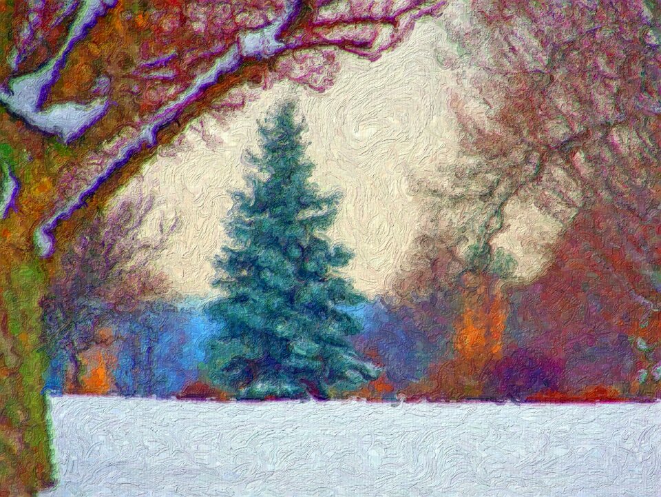 Tree snow winter