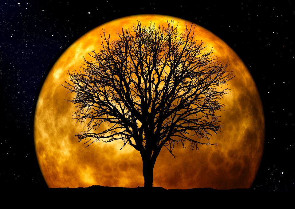 Background night evening