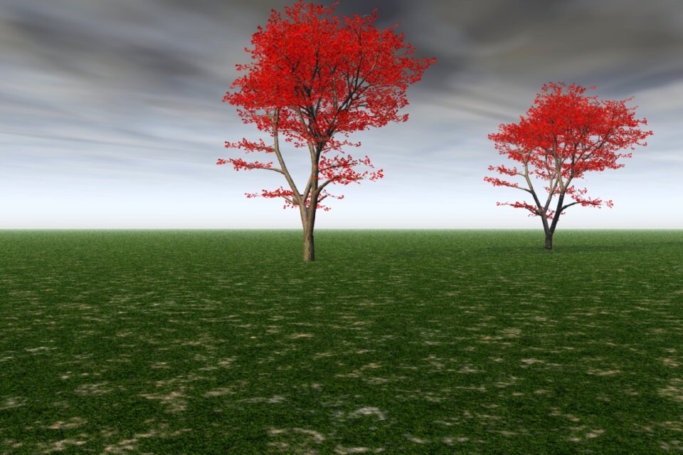 Fall landscape plants