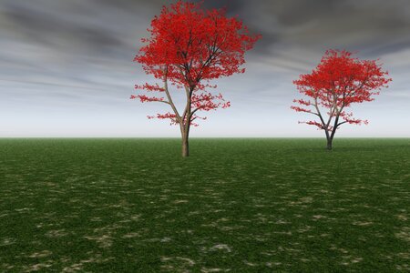 Fall landscape plants